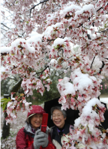 スクリーンショット 2015-04-08 20.46.15