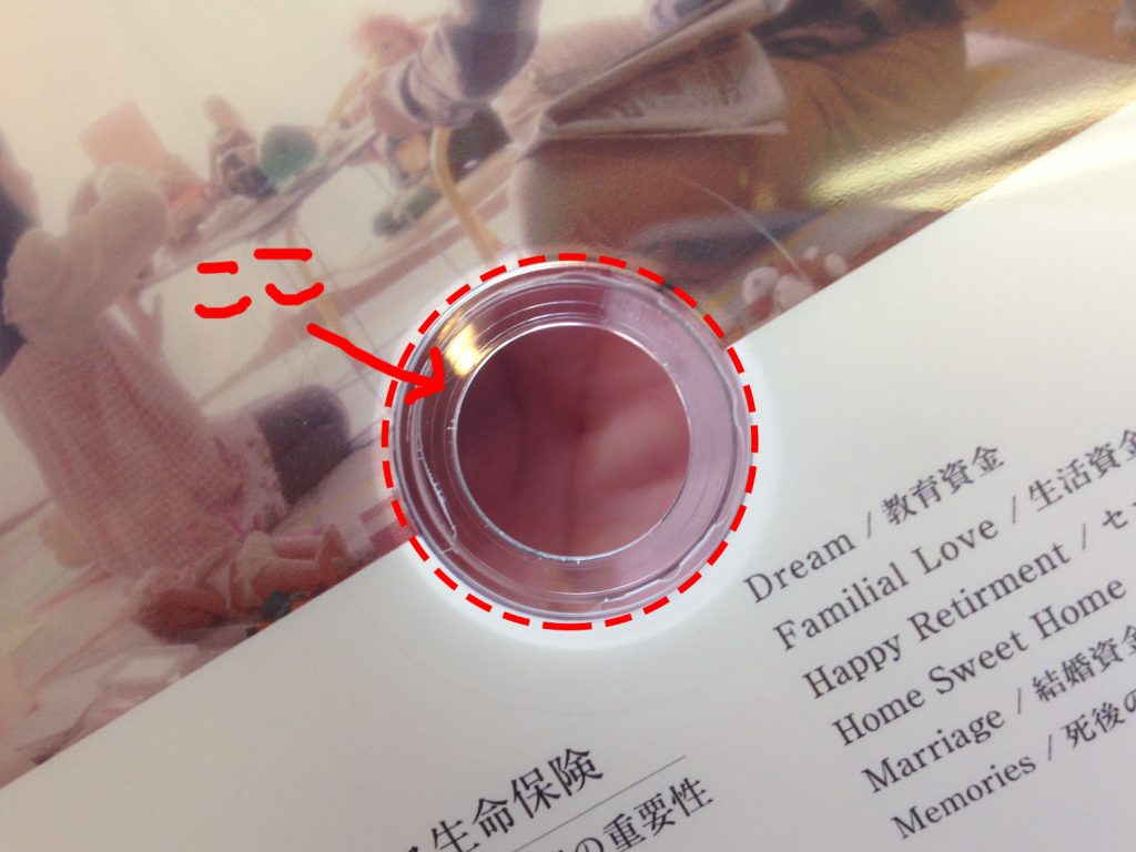 IMG_0297のコピー